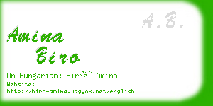 amina biro business card